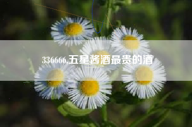 336666,五星酱酒最贵的酒