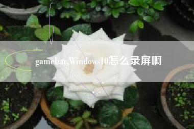 gamebar,Windows10怎么录屏啊