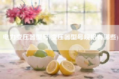 电力变压器型号(变压器型号规格有哪些)