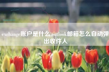 exchange账户是什么,outlook邮箱怎么自动弹出收件人