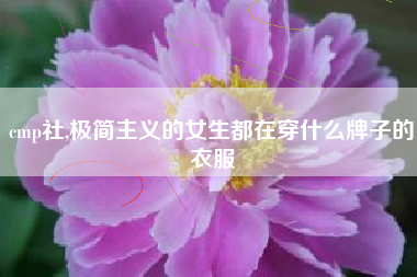 cmp社,极简主义的女生都在穿什么牌子的衣服