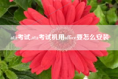 ata考试,ata考试机用office要怎么安装