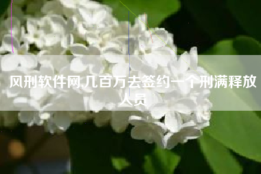 风刑软件网,几百万去签约一个刑满释放人员