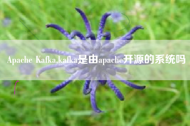 Apache Kafka,kafka是由apache开源的系统吗