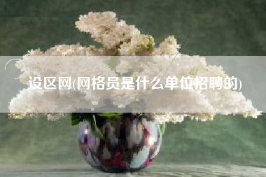 设区网(网格员是什么单位招聘的)