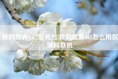 我的世界1.6.2服务器,我的世界162怎么用区域网联机