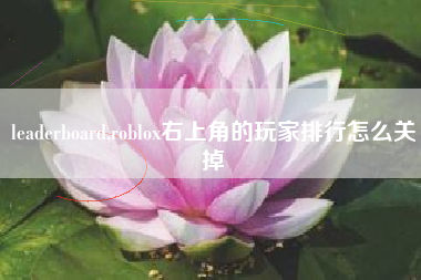 leaderboard,roblox右上角的玩家排行怎么关掉