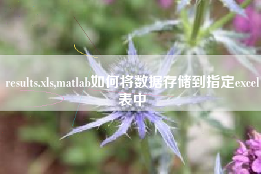 results.xls,matlab如何将数据存储到指定excel表中