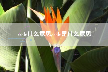 code什么意思,code是什么意思