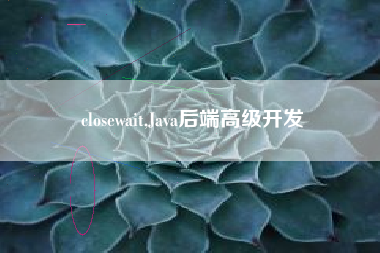 closewait,Java后端高级开发