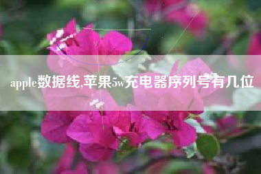 apple数据线,苹果5w充电器序列号有几位
