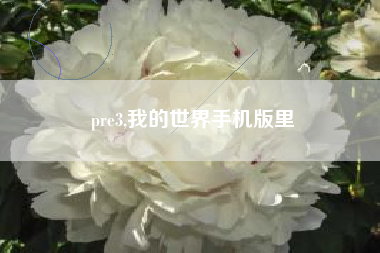 pre3,我的世界手机版里