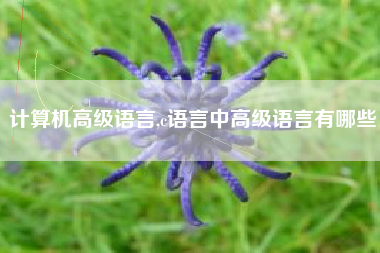 计算机高级语言,c语言中高级语言有哪些