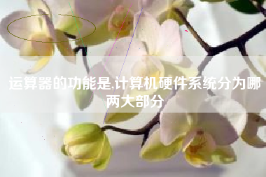 运算器的功能是,计算机硬件系统分为哪两大部分