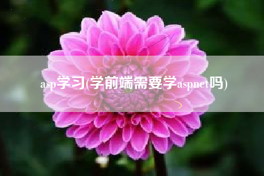 asp学习(学前端需要学aspnet吗)