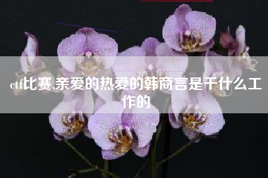 ctf比赛,亲爱的热爱的韩商言是干什么工作的