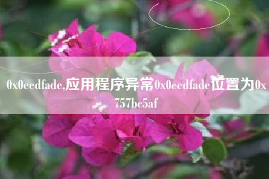 0x0eedfade,应用程序异常0x0eedfade位置为0x757bc5af