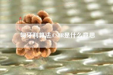 匈牙利算法,CSER是什么意思