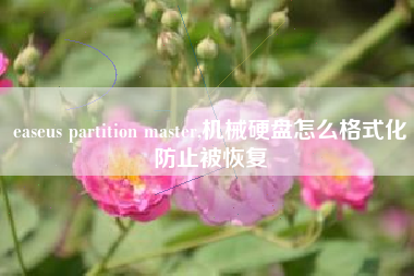 easeus partition master,机械硬盘怎么格式化防止被恢复