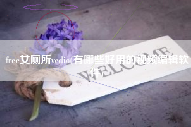 free女厕所vedio(有哪些好用的视频编辑软件)