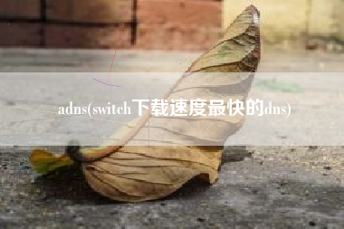 adns(switch下载速度最快的dns)