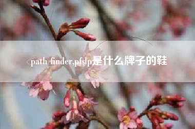 path finder,pfslp是什么牌子的鞋