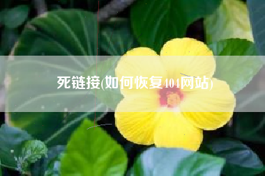 死链接(如何恢复404网站)