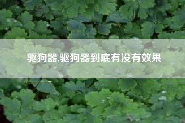 驱狗器,驱狗器到底有没有效果