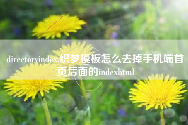 directoryindex,织梦模板怎么去掉手机端首页后面的indexhtml