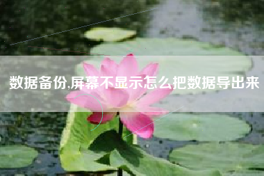 数据备份,屏幕不显示怎么把数据导出来