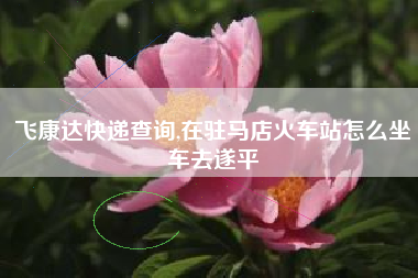 飞康达快递查询,在驻马店火车站怎么坐车去遂平