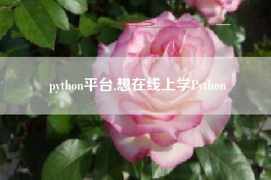 python平台,想在线上学Python