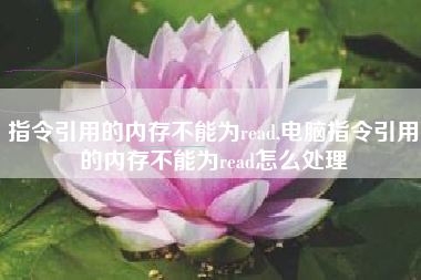 指令引用的内存不能为read,电脑指令引用的内存不能为read怎么处理