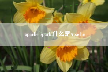 apache spark,什么是Apache