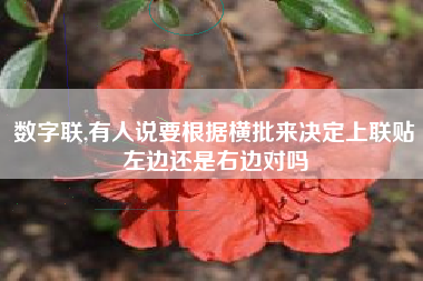 数字联,有人说要根据横批来决定上联贴左边还是右边对吗