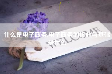 什么是电子政务,电子政务的核心与基础是什么