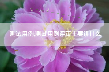 测试用例,测试用例评审主要讲什么