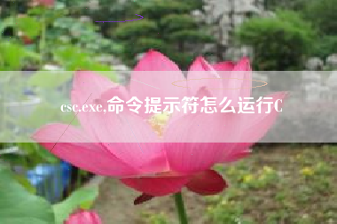 csc.exe,命令提示符怎么运行C