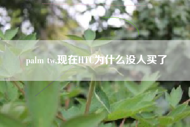 palm tw,现在HTC为什么没人买了