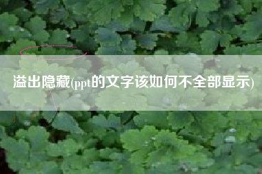 溢出隐藏(ppt的文字该如何不全部显示)