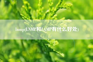 lnmp(LNMP和LAMP有什么好处)