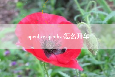 openbve,openbve怎么开车