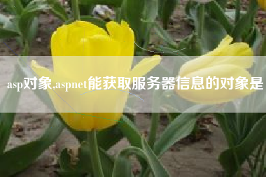 asp对象,aspnet能获取服务器信息的对象是