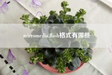 micromedia,flash格式有哪些