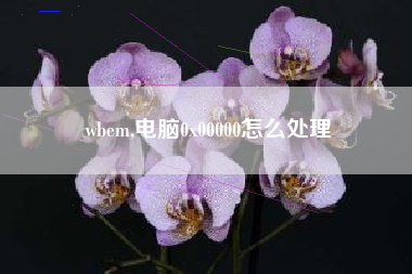 wbem,电脑0x00000怎么处理