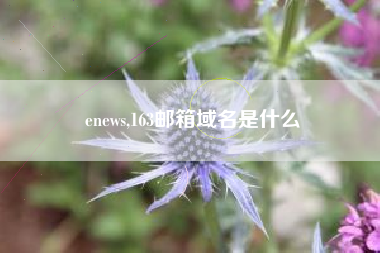 enews,163邮箱域名是什么