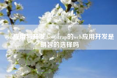 web应用与开发,bootstrap的web应用开发是明智的选择吗