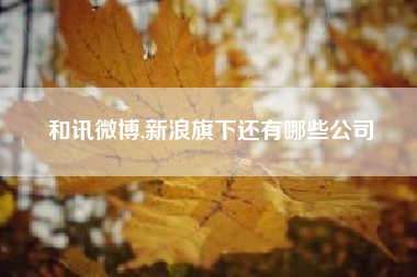 和讯微博,新浪旗下还有哪些公司