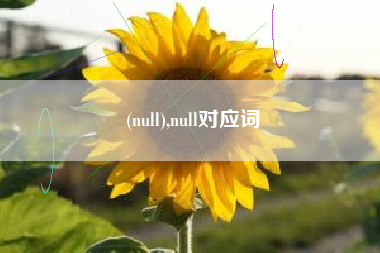 (null),null对应词