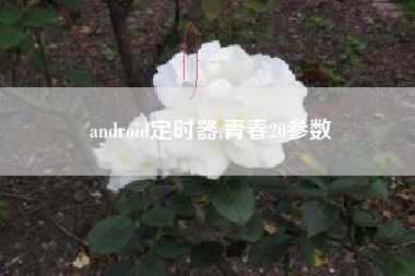 android定时器,青春20参数